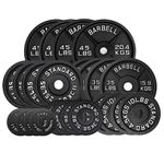 HAJEX Weight Plates Sets - Olympic Weights & Standard Weights (Cast Iron Plates 2", 340 LB)