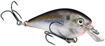 Strike King KVD 1.5 Square Bill Cra