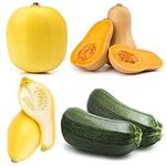 Squash Seeds for Planting, 4 Heirlo