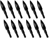 12pcs Archery Arrow Tips 100 Grain Field Tips 5/16 Inch Screw in Bullet Points, Archery Target Crossbow Practice Tips for Arrows Recurve Bow Compound Bow, Hunting Bow and Arrow Target Practice