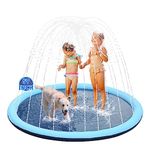 Inflatable Mat For Dogs