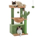 PAWZ Road Cactus Cat Tree for indoor cats with super large Condo, Cat scratching tower with large hammock& perch 79cm Green