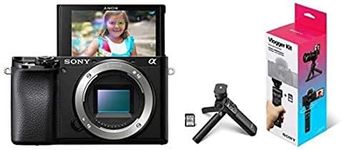 Sony Alpha A6100 Mirrorless Camera 