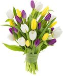 KaBloom PRIME NEXT DAY DELIVERY - Fall Collection - Combo Pack Of Fresh Tulips, Purple, Yellow and White, 30 Count without vase.Gift for Birthday, Sympathy, Anniversary, Mother’s Day Fresh Flowers