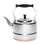 BonJour Tea Stainless Steel and Cop