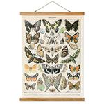 Ovfovy Vintage Butterflies Poster Wall Art, Retro Style of Wall Decor Painting, Cottagecore Room Decor Aesthetic, Printed on Linen with Wooden Frames, Ready to Hang 12 x 16 Inches