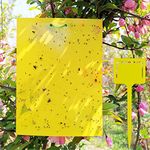 50 Sheets Yellow Sticky Traps, 8x6 Inch, Dual-Sided, with Twist Ties and Plastic Holders, for Capture Insects Like Flies, Gnats