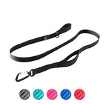 Rover Gear Essential Dog Walking Leash, Black, 6 ft