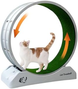 Cat Toy Ex