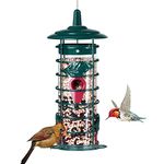 Squirrel Proof Bird Feeders