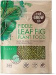 Fiddle Leaf Fig Tree Plant Food (5 oz, 50+ Applications) - Slow Release Fertiliser Pellets for Potted Figs - Steady Nutrients to Grow Healthy Indoor and Outdoor Ficus Plants