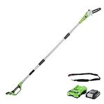 Greenworks G24PS20K2 Cordless long reach Pole Saw (Great for Pruning and Trimming Branches), 8 Inch (20cm) Bar Length, 6.7m/s Chain Speed, light weight, 2.6m Pole Reach, 24V 2Ah Battery & Charger