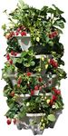 Mr. Stacky 5 Tiered Vertical Gardening Planter, Indoor & Outdoor