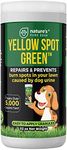 Yellow Spot Green™ Cures Urine Burns and Prevents Yellow Spots in Your Yard. Dog Urine Neutralizer for Lawns. Repair and Protect Grass from Dog Pee. Easy to Use Granules. Large 32 Ounce.