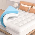 Mattresses For Back Support