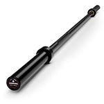 LIONSCOOL 4.9ft Black E-Coated Training Bar (500lb Weight Capacity)