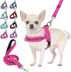 SlowTon Ensemble Harnais et Laisse pour Chien, Harnais Petit Chien à Ajustement Rapide Harnais à Gilet Rembourré pour Petits Chiens, avec Harnais de Sécurité et Bungee Ajustable pour Chien