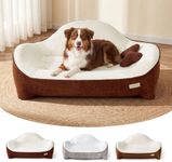 Aurapaws Dog Bed for Large Sized Dog, Extra Thick Memory Foam, 3 Covers