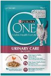 PURINA ONE Adult Urinary Care Chick