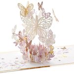 Hallmark Signature Paper Wonder Pop Up Card, Thankful for You (Thinking of You Card or Birthday Card)