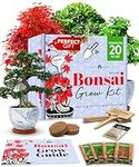 HOME GROWN Bonsai Tree Kit - Premiu