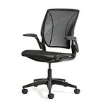 World One Ergonomic Desk Chair for 