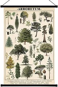 Geyee Vintage Poster Wall decor Rustic Hanging Wall Art Illustrative Reference Chart Prints Picture for Living Room Office Classroom Bedroom Frame, 15.8 x 23.6 Inch(Tree)