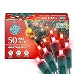 Holiday Spirit Christmas Lights, 50 LED Christmas String Lights for Indoor & Outdoor Use - UL Approved - for Christmas Tree Lights, Outdoor Displays, Weddings, and Parties (17ft - Red)