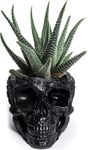 GUTE Skull Makeup Brush & Pen Holder Bowl with Cover - Deep Plant Planter Pot Polyresin Skulls Pot for Succulents, Plants & Flowers - Bowl & Serving Bowl, Skeleton Home Decor, Black Pot