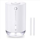 Cool Mist Humidifiers for Home