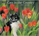 LANG Cats In The Country 2024 Wall Calendar (24991001899)