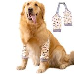 DKDDSSS Dog Front Leg Braces Recovery Sleeve, Pet Dog Front Leg Hock Brace Elbow Protector, Pet Knee Brace Wounds for Medium Large Dogs (2XL)