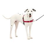 PetSafe Easy Walk No-Pull Dog Harness - The Ultimate Harness to Help Stop Pulling - Take Control & Teach Better Leash Manners - Helps Prevent Pets Pulling on Walks - Medium/Large, Red