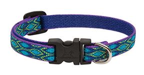 LupinePet Originals 1/2" Rain Song 6-9" Adjustable Collar for Extra Small Dogs