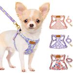 Lukovee Puppy Harness and Leash Set, No Pull Lightweight Pet Harness Vest for Puppy Small and Medium Size Dog, Adjustable Soft Suede Dog Leash Set (PU, XXS)