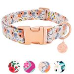 HSIGIO Soft Cotton Dog Collar, Adjustable Durable Dog Collar with Metal Buckle, Orange Floral with Pendant Girl Boy Dog Collars Gift for Small Medium Large Dogs, M