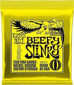 Ernie Ball
