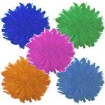 Asian Hobby Crafts Natural Dyed Feathers (Pack of 5 Different Color) 400 Pieces Approx, (Multi 5_B)