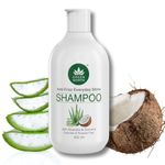 GREENWORTH Everyday Shine Anti-Frizz Shampoo for Dry Damaged Thin Hair | Sulphate Free and Paraben Free | With Aloevera & Coconut | for Men and Women | Lavender & Vanilla essential oil | 300 ml