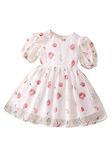 TAGAS Baby-Girl's Georgette A-Line Knee-Length Dress (KD-200_White_12 Months-24 Months)