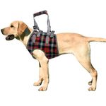 ROZKITCH Dog Lift Harness, Grid Pet Chest Support Aid Veterinarian Approved Sling for Old K9 Help with Poor Stability, Front Legs Disabled Joint Injury Elderly Arthritis ACL Rehabilitation Rehab