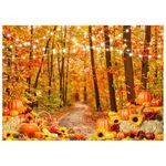 XEYSM 7x5FT Fall Backdrop Fall Thanksgiving Backdrop Fall Forest Natural Scenery Photography Backdrop Autumn Harvest Pumpkin Party Decoration Backdrop XY96