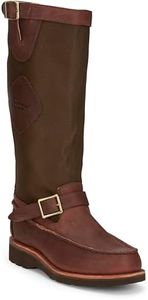 Chippewa M