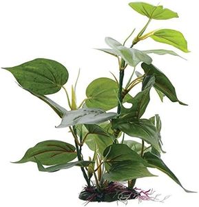 Fluval Anubias Plant for Aquarium, 12-Inch