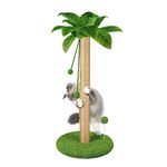 Sisal Cat Scratching Posts