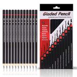 ABOUT SPACE Professional Shading & Drawing Pencils Set - (12 Lead Pencils) Black Sketching Pencils of 12 Shades for Artists, Students, Beginners - (B,2B,3B,4B,5B,6B,7B,8B,HB,H,2H & F)