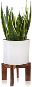 Wood Plant