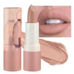 Nude Lipstick,Matte,Smooth,Waterproof,Highly Pigmented Lipsticks (02#Nude)