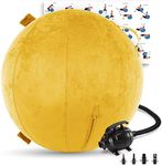 Exercise Ball 65cm/26in, Gold Rush Microsuede Leather Cover with Electric Quick Pump For Yoga, Pilates, Fitness Balance Stability, Office Ball Chair Seat. Soft & Slip Resistant, Pro Guide