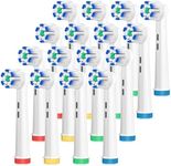 AnjoCare Replacement Toothbrush Hea